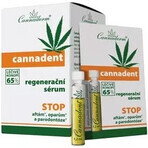 Cannaderm CANNADENT Regenerations-Serum 10×1,5 ml für Fieberbläschen und Lippenbläschen Cannaderm CANNADENT Regenerations-Serum 10×1,5 ml für Fieberbläschen und Lippenbläschen