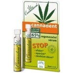 Cannaderm CANNADENT Regenerations-Serum 10×1,5 ml für Fieberbläschen und Lippenbläschen Cannaderm CANNADENT Regenerations-Serum 10×1,5 ml für Fieberbläschen und Lippenbläschen