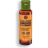 Yves Rocher Pn Shg Mango 100ml 1×100 ml shower gel