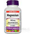 WEBBER NATURALS Magneziu 150 mg 1×60 tbl, supliment alimentar WEBBER NATURALS Magneziu 150 mg 1×60 tbl, supliment alimentar