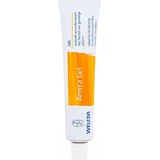 Allga San Arnika-Gel 1×100 ml, entzündungshemmendes Gel