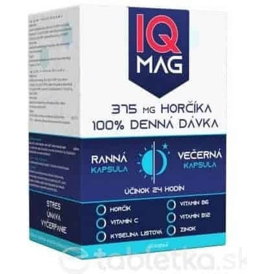 IQ MAG Magnesium 375 mg + B6 + foliumzuur 1×60 stuks, voedingssupplement