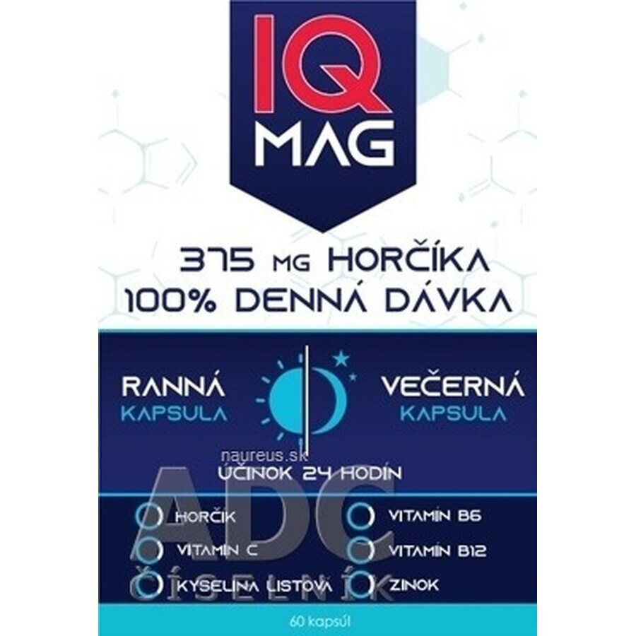 IQ MAG Magnesium 375 mg + B6 + foliumzuur 1×60 stuks, voedingssupplement