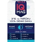 IQ MAG Magnesium 375 mg + B6 + foliumzuur 1×60 stuks, voedingssupplement IQ MAG Magnesium 375 mg + B6 + foliumzuur 1×60 stuks, voedingssupplement