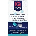 IQ Magnesium 375 mg + B6 1×60 cps, Nahrungsergänzungsmittel