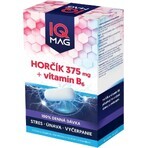 IQ Magnesium 375 mg + B6 1×60 cps, Nahrungsergänzungsmittel