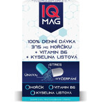 IQ Magnesium 375 mg + B6 1×60 cps, Nahrungsergänzungsmittel