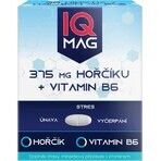 IQ Magnesium 375 mg + B6 1×60 cps, Nahrungsergänzungsmittel