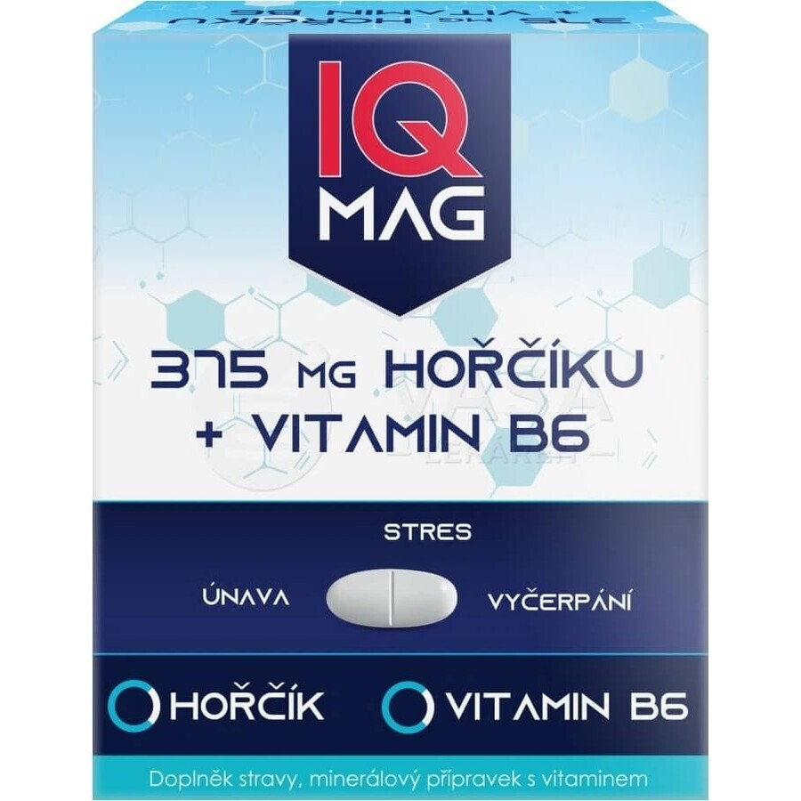 IQ Magnesium 375 mg + B6 1×60 cps, Nahrungsergänzungsmittel