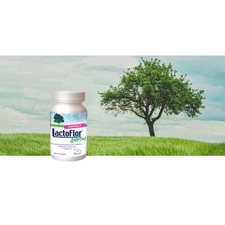 LactoFlor BioPlus 1×90 cps, complemento alimenticio