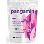 PANGAMIN OSTROPESTREC 1x200 tbl, complément alimentaire