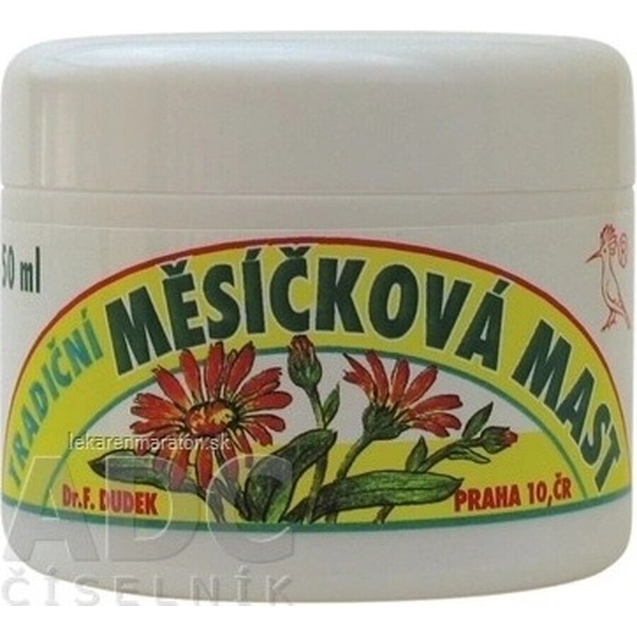 DR.F. DUDEK TRADITIONELLE Kräutersalbe 1×50 ml, Kräutersalbe