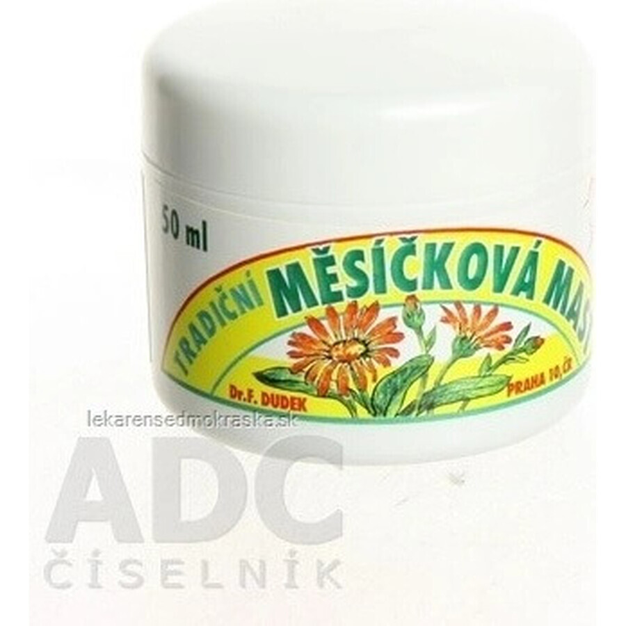 DR.F. DUDEK TRADITIONELLE Kräutersalbe 1×50 ml, Kräutersalbe