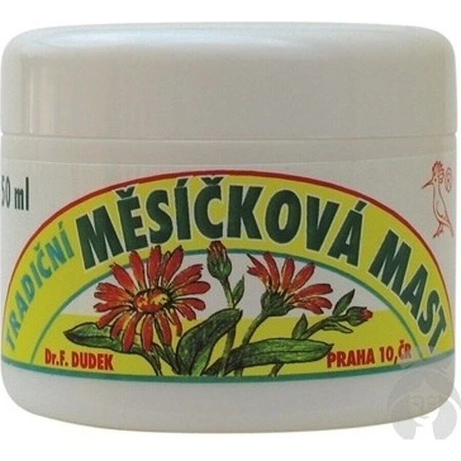 DR.F. DUDEK TRADITIONELLE Kräutersalbe 1×50 ml, Kräutersalbe