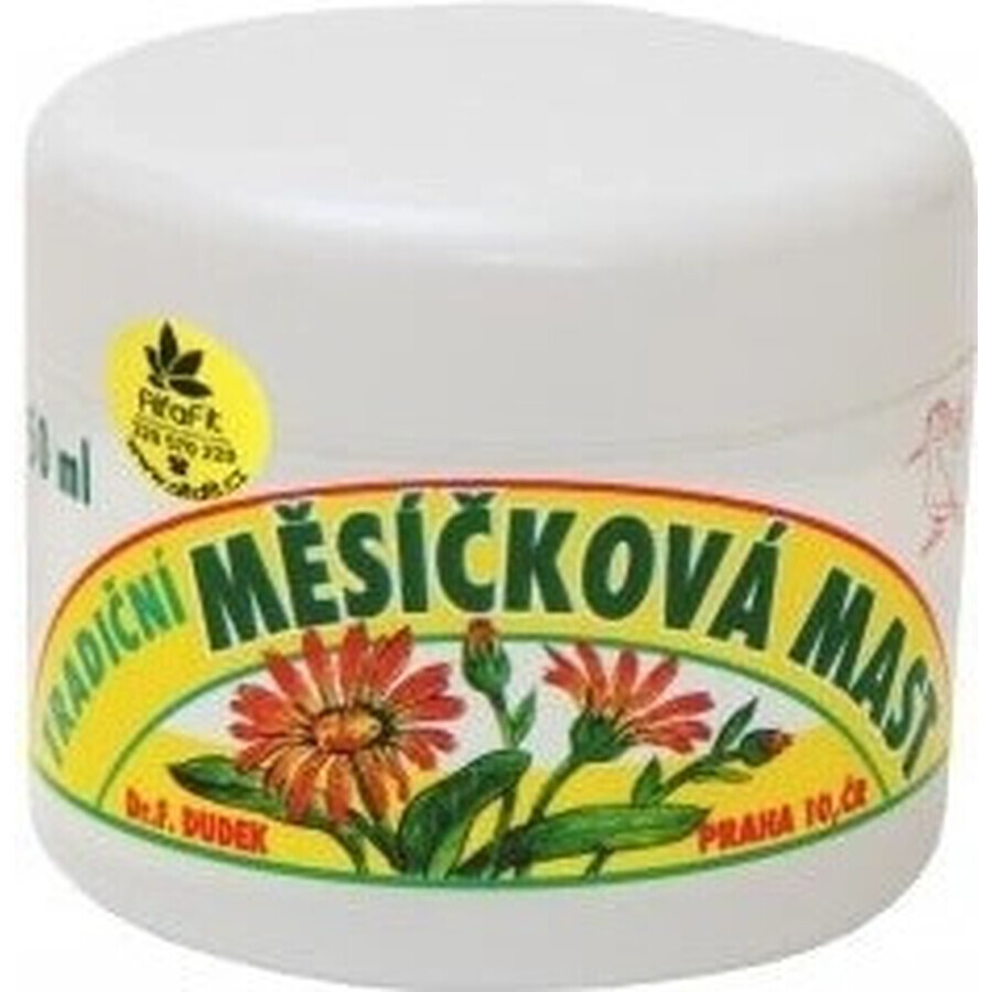 DR.F. DUDEK TRADITIONELLE Kräutersalbe 1×50 ml, Kräutersalbe