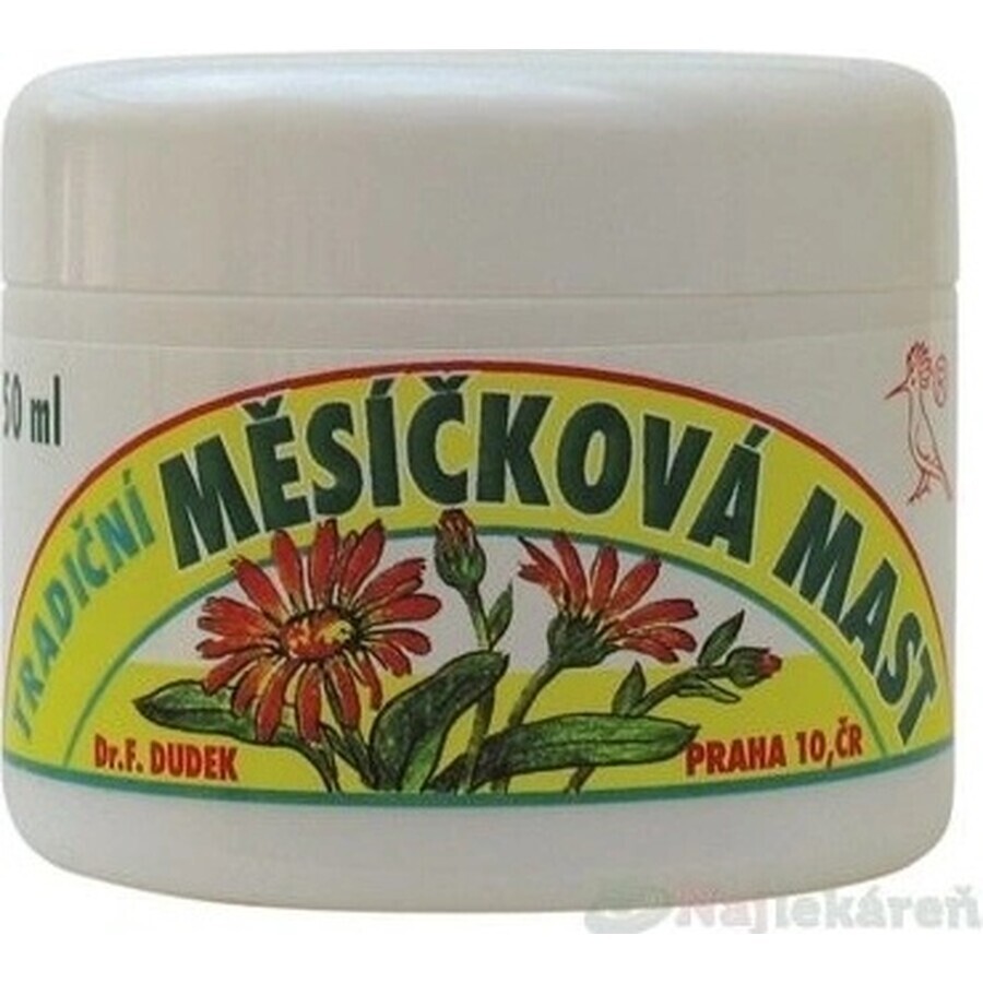 DR.F. DUDEK TRADITIONELLE Kräutersalbe 1×50 ml, Kräutersalbe