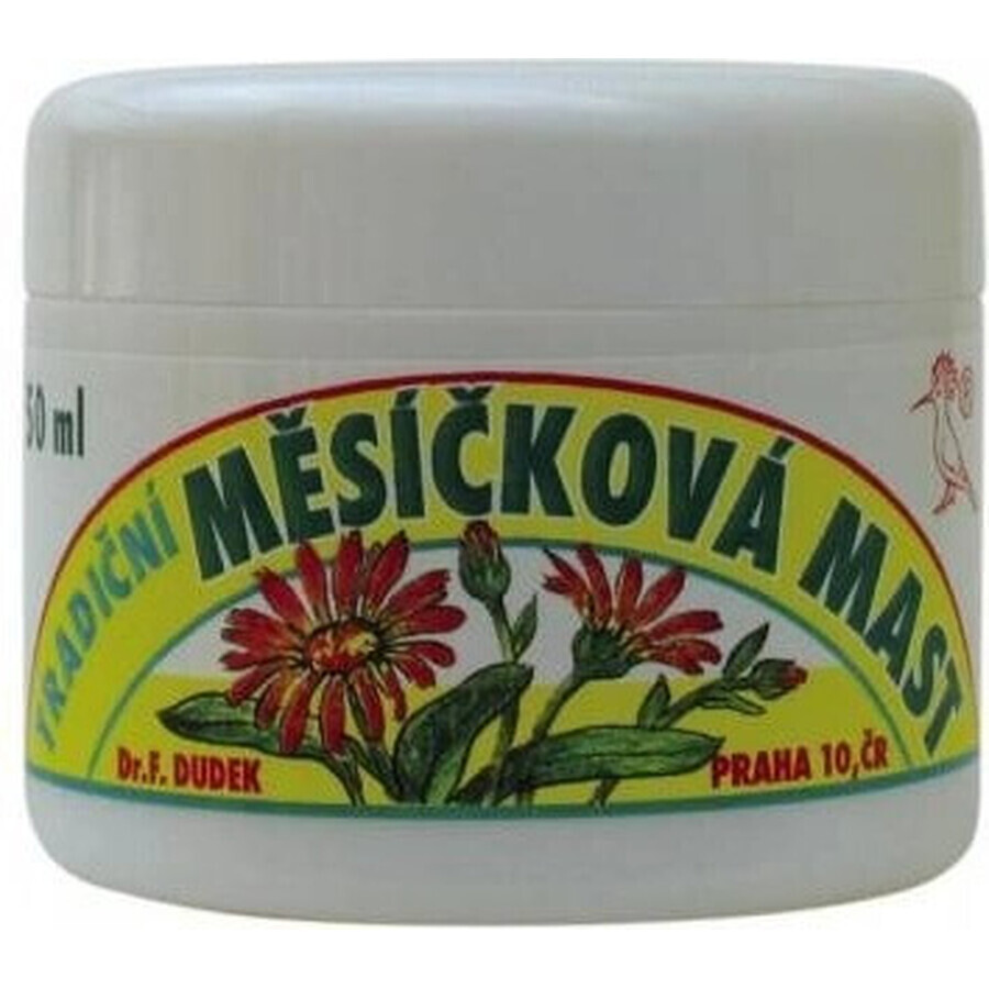 DR.F. DUDEK TRADITIONELLE Kräutersalbe 1×50 ml, Kräutersalbe
