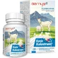 Barny´s goat colostrum 1×60 cps, food supplement