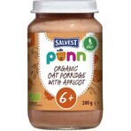 SALVEST ORGANIC Põnn Aprikosen mit Haferflocken 200 g 1×200 g