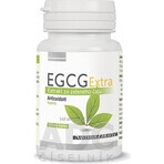 ToolsHealth EGCG Extra 1×60 cps, dietary supplement ToolsHealth EGCG Extra 1×60 cps, dietary supplement