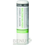MedPharma Lip balm with vitamin E + allantoin 1×4,8 g, lip balm MedPharma Lip balm with vitamin E + allantoin 1×4,8 g, lip balm