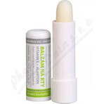 MedPharma Lip balm with vitamin E + allantoin 1×4,8 g, lip balm MedPharma Lip balm with vitamin E + allantoin 1×4,8 g, lip balm