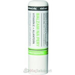 MedPharma Lip balm with vitamin E + allantoin 1×4,8 g, lip balm MedPharma Lip balm with vitamin E + allantoin 1×4,8 g, lip balm