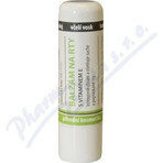 MedPharma Lip balm with vitamin E + allantoin 1×4,8 g, lip balm MedPharma Lip balm with vitamin E + allantoin 1×4,8 g, lip balm
