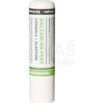 MedPharma Lip balm with vitamin E + allantoin 1×4,8 g, lip balm