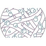 BIOFINITY® Lenti a contatto 1×3 pezzi, lenti mensili BIOFINITY® Lenti a contatto 1×3 pezzi, lenti mensili