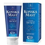 FORTE collagen horse ointment 1×200 ml, onguent rafraîchissant pour chevaux FORTE collagen horse ointment 1×200 ml, onguent rafraîchissant pour chevaux