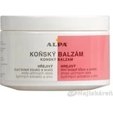ALPA HORSE HORSE BALM Warming 1×250 ml, massage