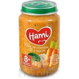HAMI appetizer Bouillon with vegetables, rice and veal 1×200 g, meat-vegetable appetizer