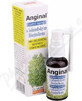 Dr. M&#252;ller ANGINAL Oral Spray 1&#215;30 ml, oral spray