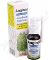 Dr. M&#252;ller ANGINAL Oral Spray 1&#215;30 ml, oral spray