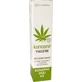 Hennepolie 10% hennepolie 1×100 ml voor huidmassage