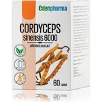 EDENPharma CORDYCEPS sinensis 6000 1×60 tbl, voedingssupplement EDENPharma CORDYCEPS sinensis 6000 1×60 tbl, voedingssupplement