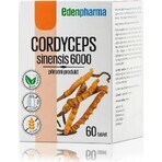 EDENPharma CORDYCEPS sinensis 6000 1×60 tbl, voedingssupplement EDENPharma CORDYCEPS sinensis 6000 1×60 tbl, voedingssupplement