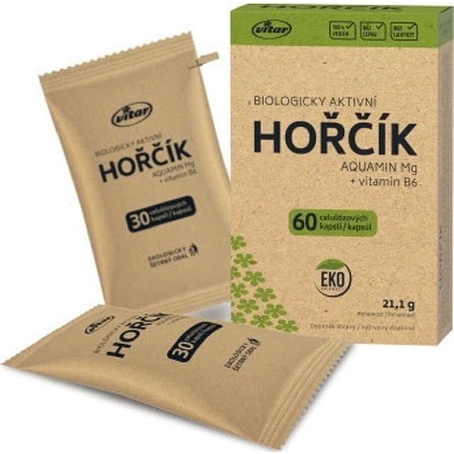 VITAR HORČÍK AQUAMIN Mg + vitamina B6 1×60 cps, supliment alimentar