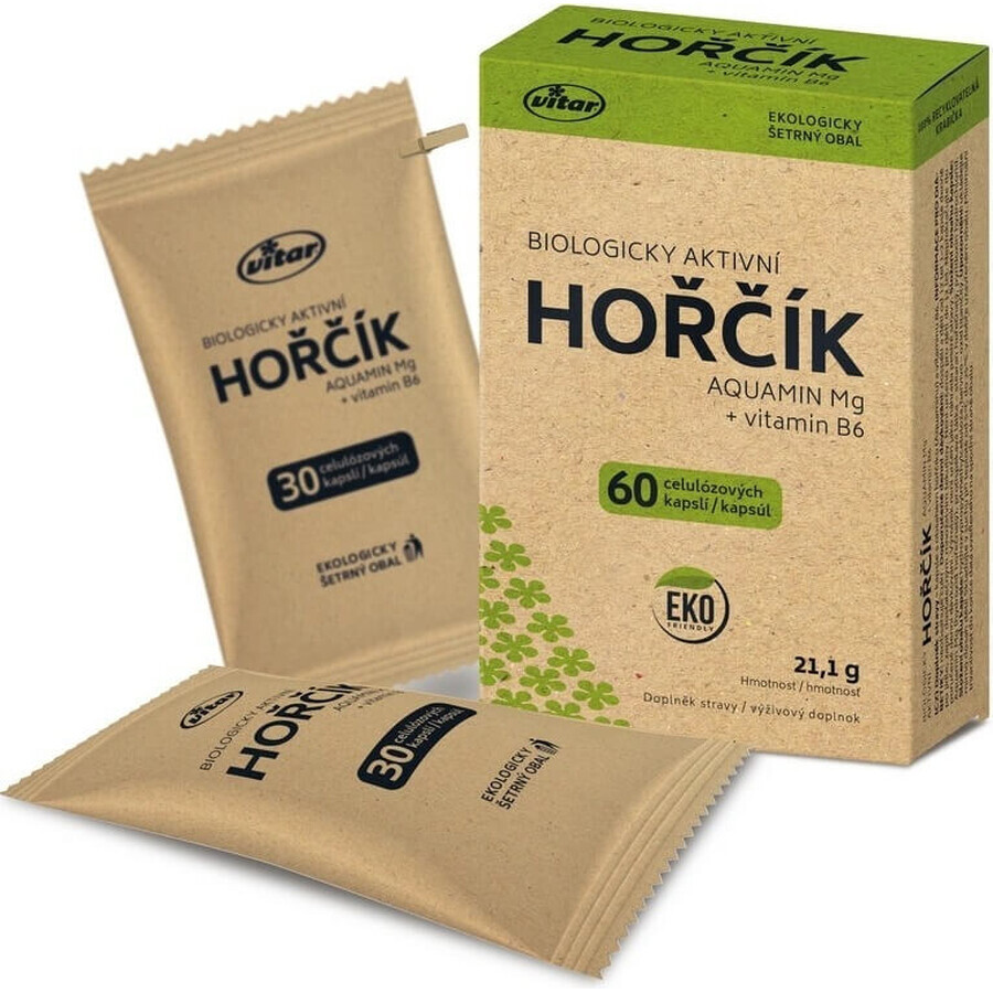 VITAR HORČÍK AQUAMIN Mg + vitamina B6 1×60 cps, supliment alimentar