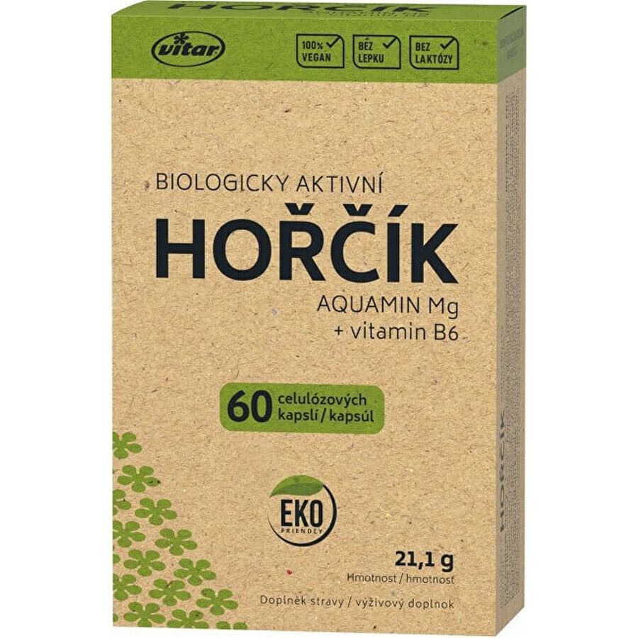 VITAR HORČÍK AQUAMIN Mg + vitamina B6 1×60 cps, supliment alimentar