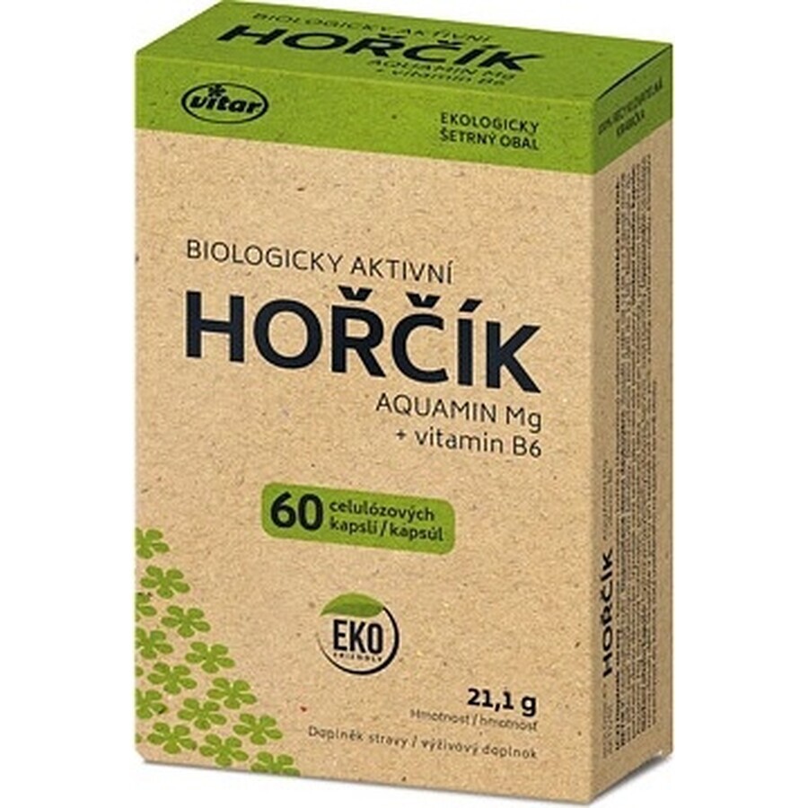 VITAR HORČÍK AQUAMIN Mg + vitamina B6 1×60 cps, supliment alimentar