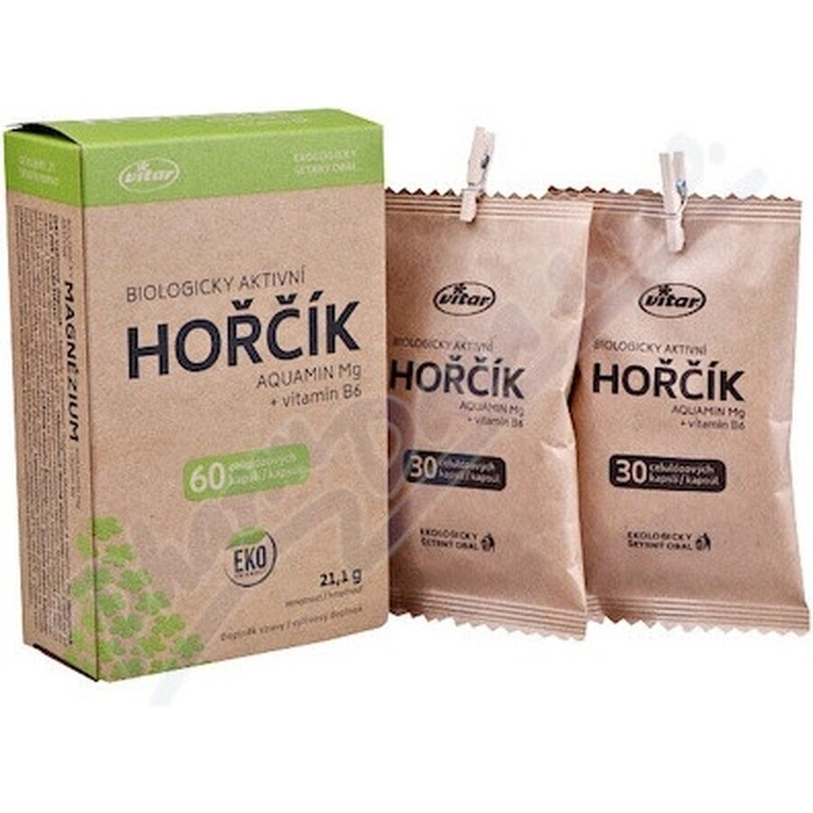 VITAR HORČÍK AQUAMIN Mg + vitamina B6 1×60 cps, supliment alimentar