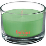 Bolsius Aromatic 2.0 Bougie parfumée en verre au thé vert 1×1 pc, dimensions 90 x 63 mm