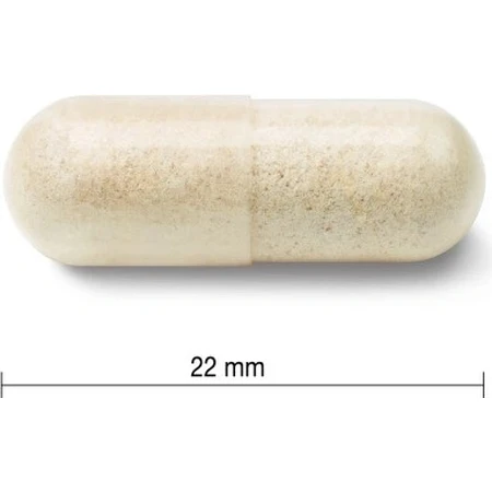 JAMIESON PROBIOTIC 60 BILLION ULTRA STRENGTH 1×24 cps, bakterielle Kulturmischung