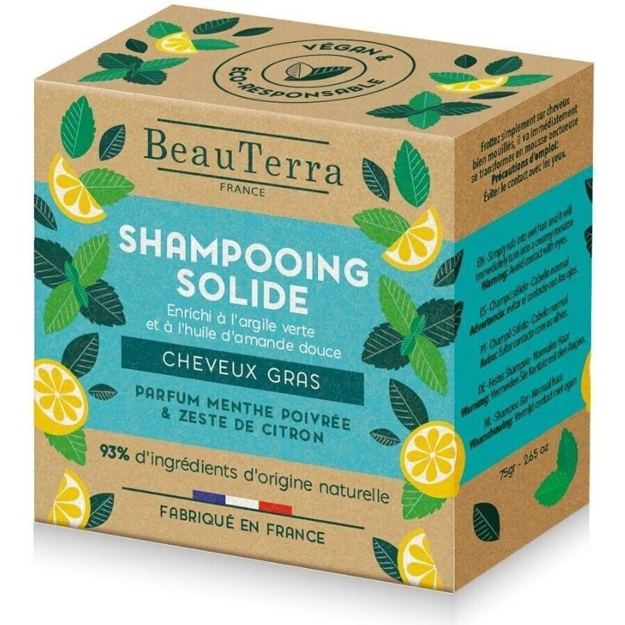 Solid shampoo - oily hair - 75gr 1×75 g, shampoo for oily hair
