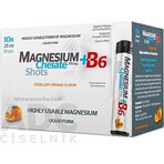 MAGNESIUM Chelated MAGNESIUM + B6 orange SALUTEM 1×10 stuks, voedingssupplement MAGNESIUM Chelated MAGNESIUM + B6 orange SALUTEM 1×10 stuks, voedingssupplement
