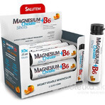 MAGNESIUM Chelated MAGNESIUM + B6 orange SALUTEM 1×10 stuks, voedingssupplement MAGNESIUM Chelated MAGNESIUM + B6 orange SALUTEM 1×10 stuks, voedingssupplement
