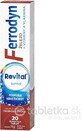 REVITAL FERRODYN 1&#215;20 tbl, fer + antioxydants
