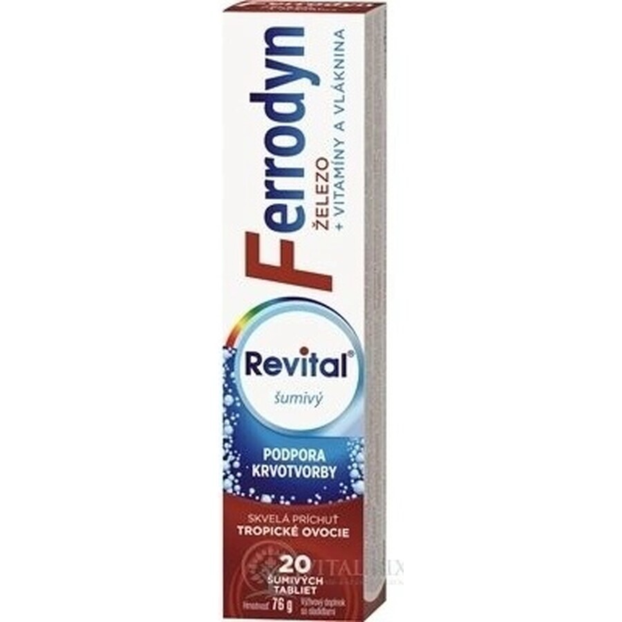 REVITAL FERRODYN 1×20 tbl, fer + antioxydants